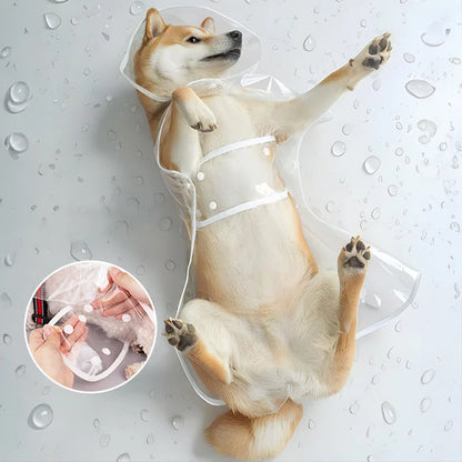 Transparent Waterproof Dog Raincoat