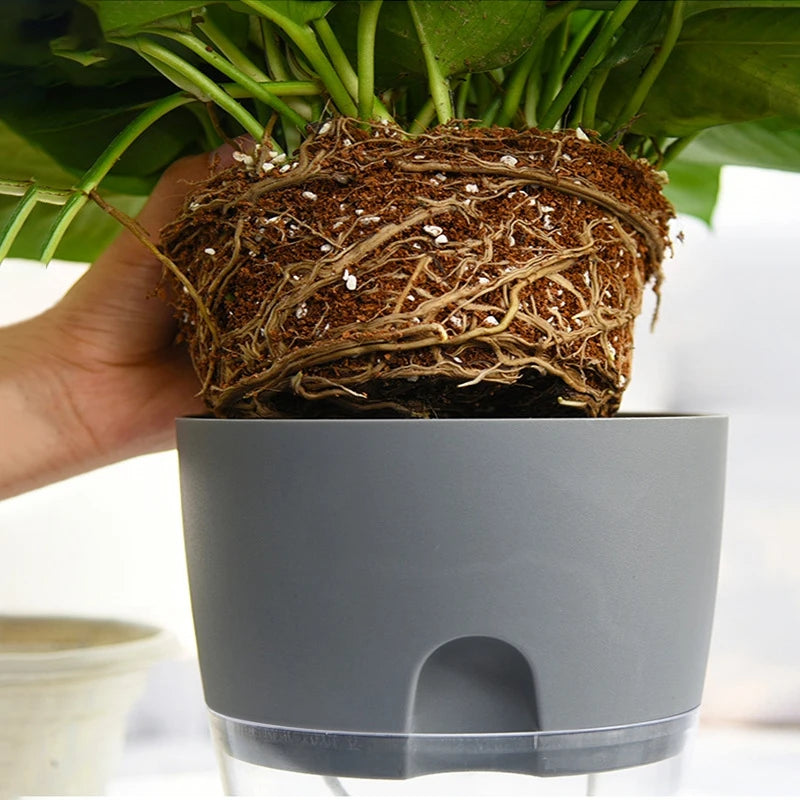 Self-Watering Hydroponic Plant Pot