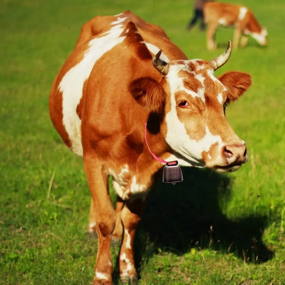 Title Livestock Grazing Bell with Locking Carabiner