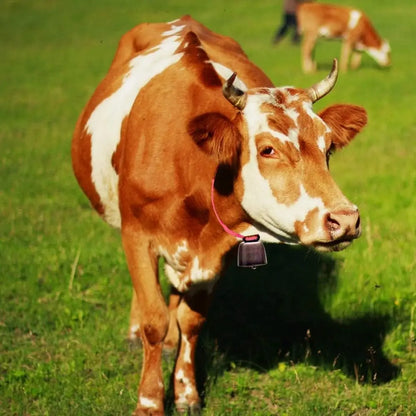 Title Livestock Grazing Bell with Locking Carabiner