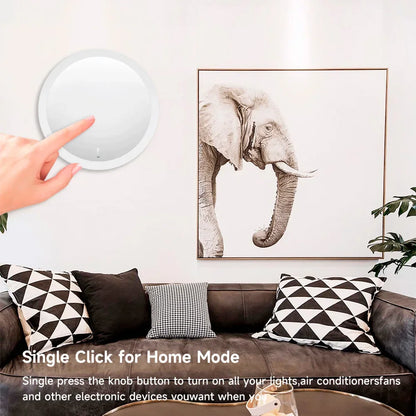 Wireless Zigbee Scene & Dimmer Controller