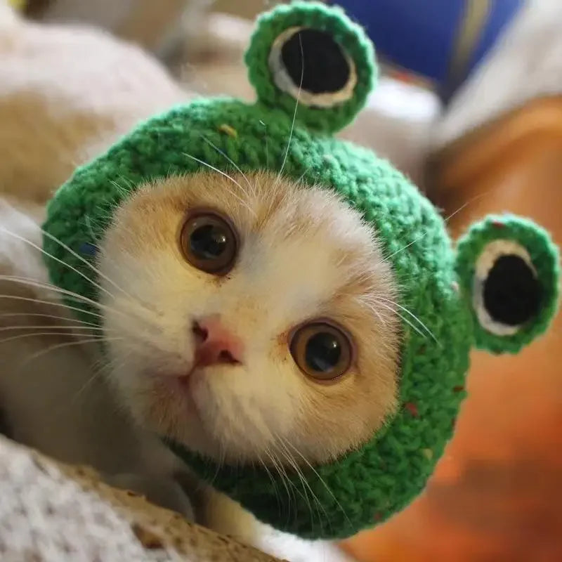 Autumn & Winter Knitted Cat Hat