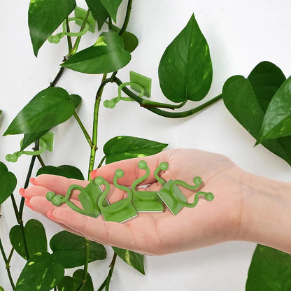 Self-Adhesive Plant Wall Clips for Climbing Vines