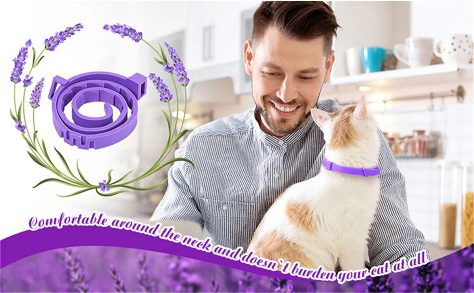 Pet Calming Collar