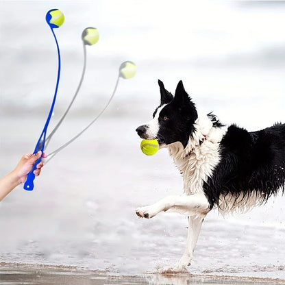 Pet Tennis Ball Launcher Stick