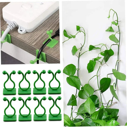 Self-Adhesive Plant Wall Clips for Climbing Vines