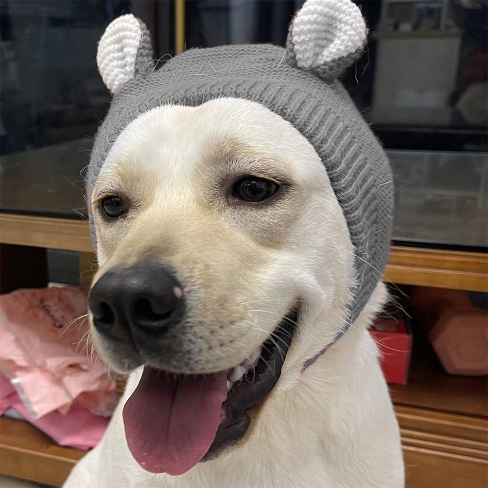 Winter Warm Dog Hat with Ear Covers