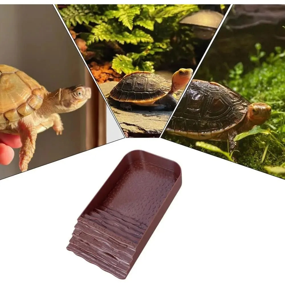 Reptile Bathing Pool with Ramp