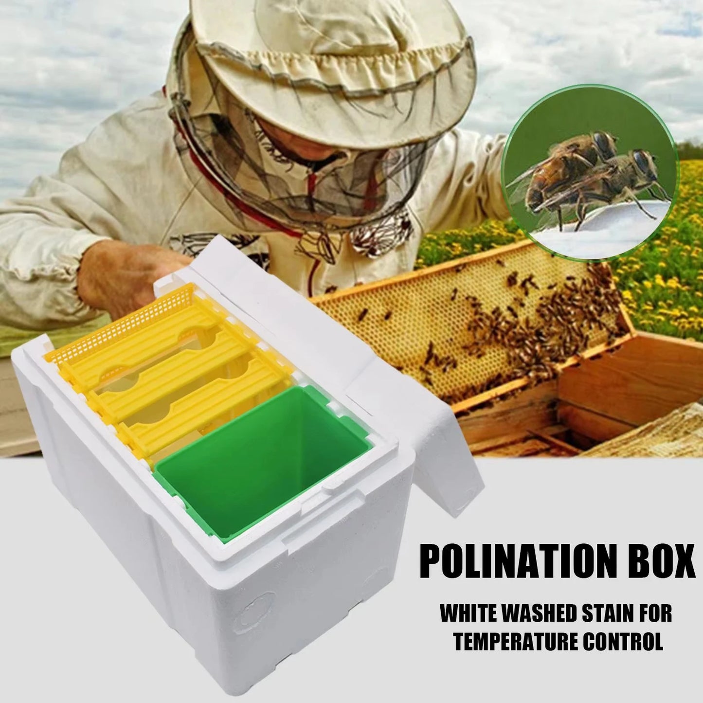 Queen Bee Breeding & Mating Hive Box