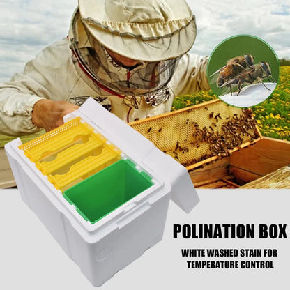 Queen Bee Breeding & Mating Hive Box