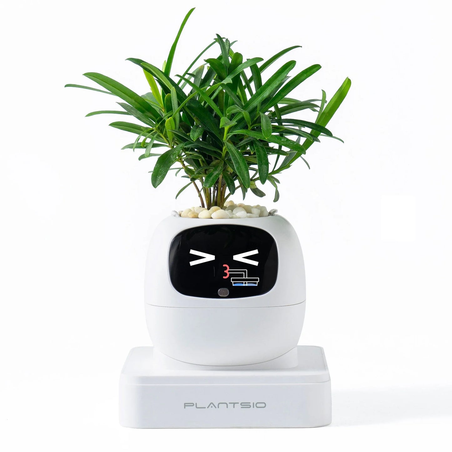 Smart AI Expression Planter
