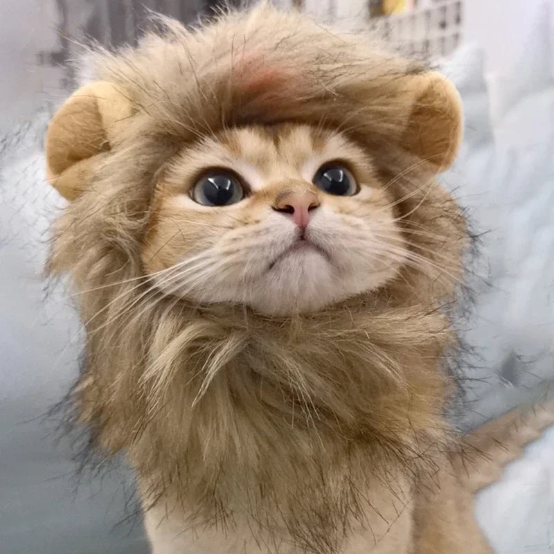 Lion Mane Costume for Cats & Dogs