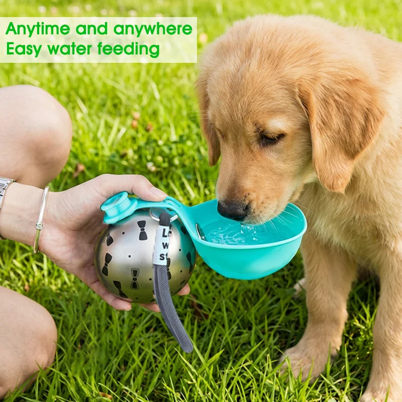 Leak-Proof Travel Water Bottle & Foldable Drinking Bowl for Dogs and Cats