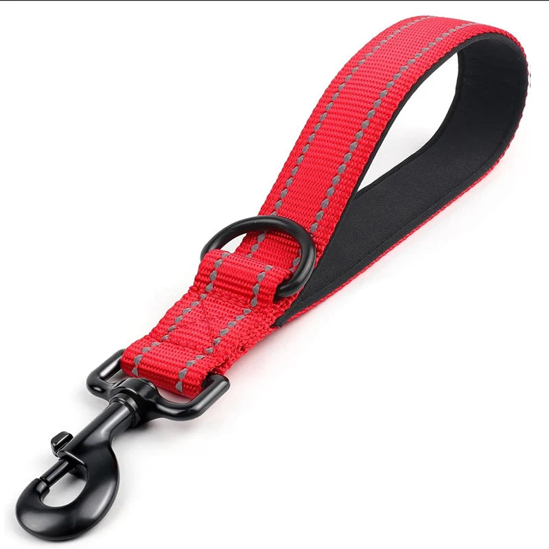 5M Nylon Leashes for Large Dog