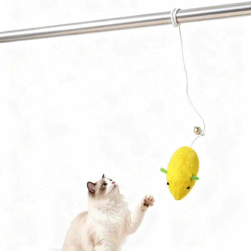 Hanging Cat Mouse Toy