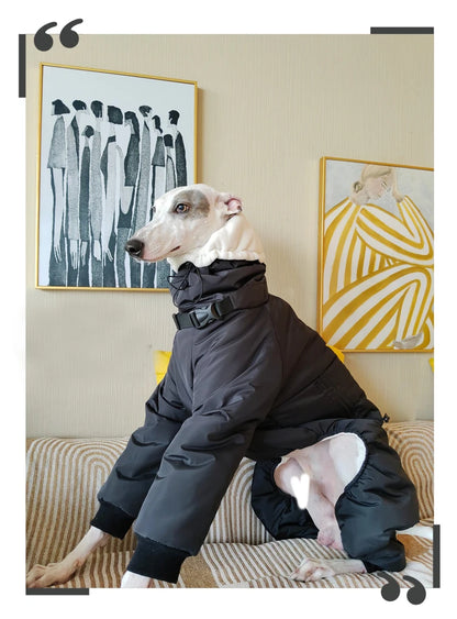Winter Quilted Dog Jacket