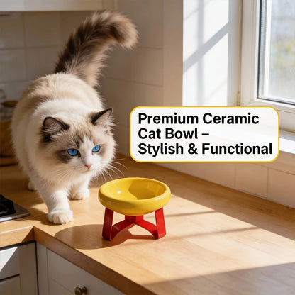 Elevated Anti-Spill Pet Food Bowl for Cats