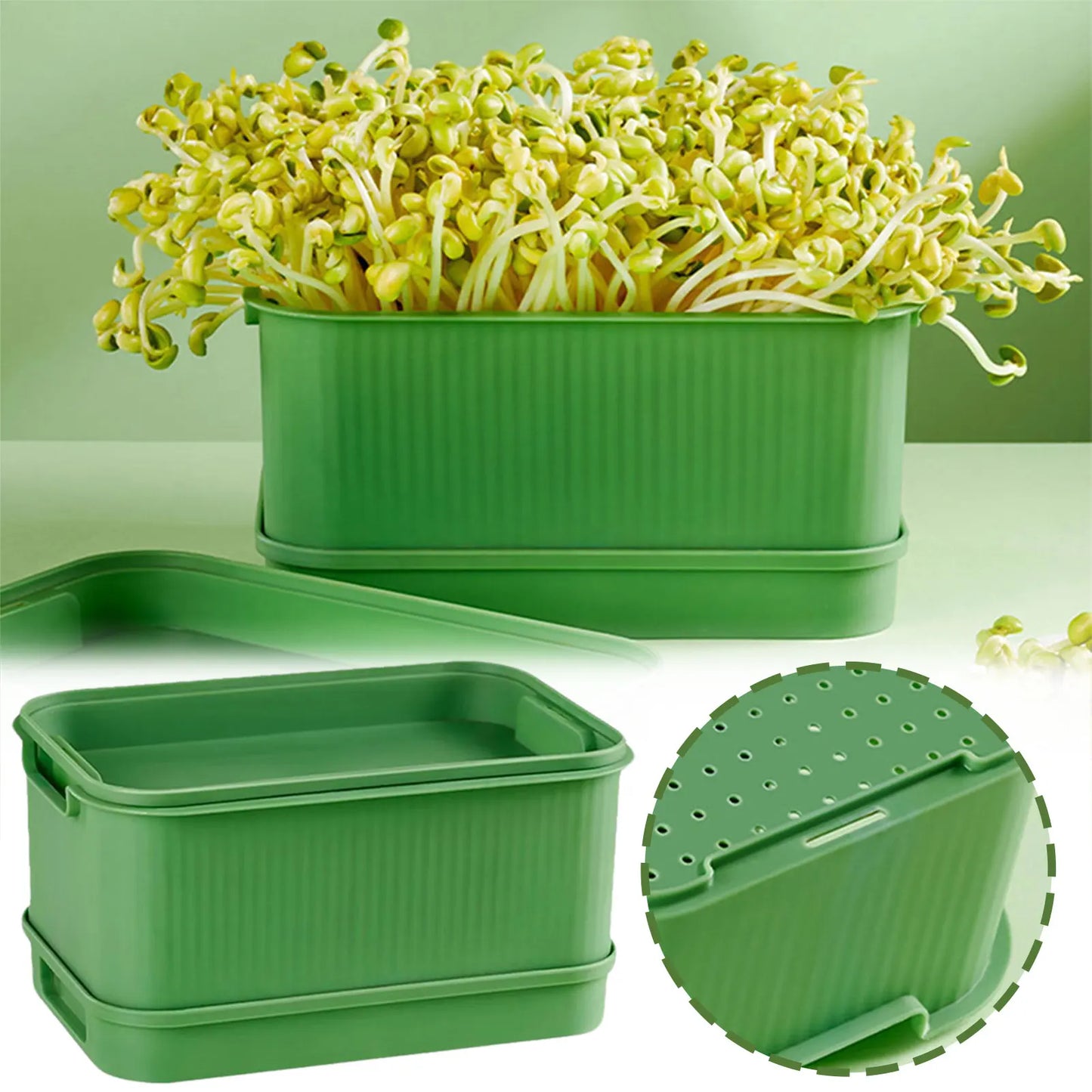 Stackable Seed Sprouting Tray with Lid