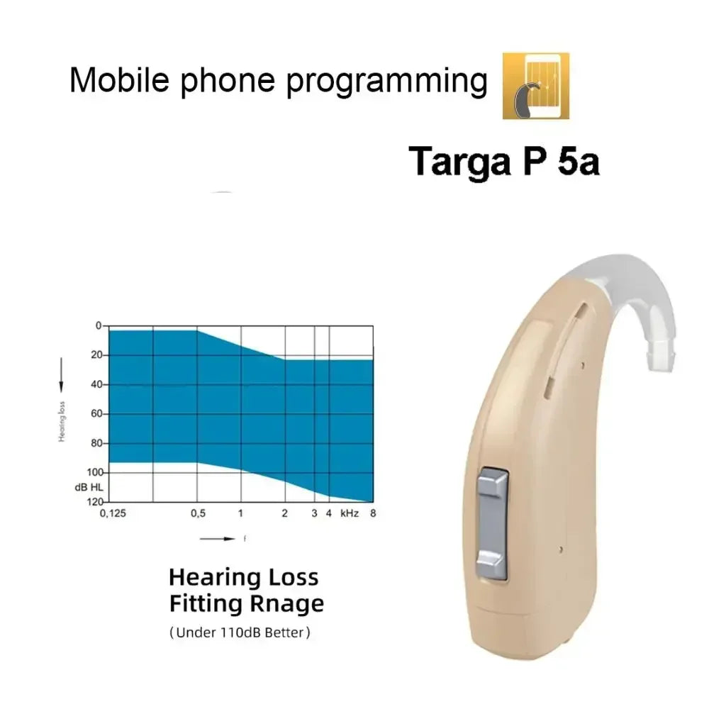 Rexton Targa P 5A Programmable Hearing Aid