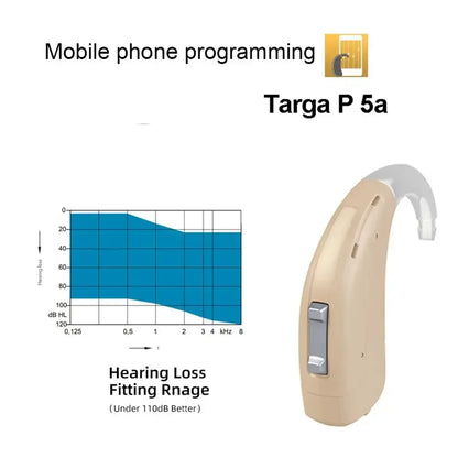 Rexton Targa P 5A Programmable Hearing Aid