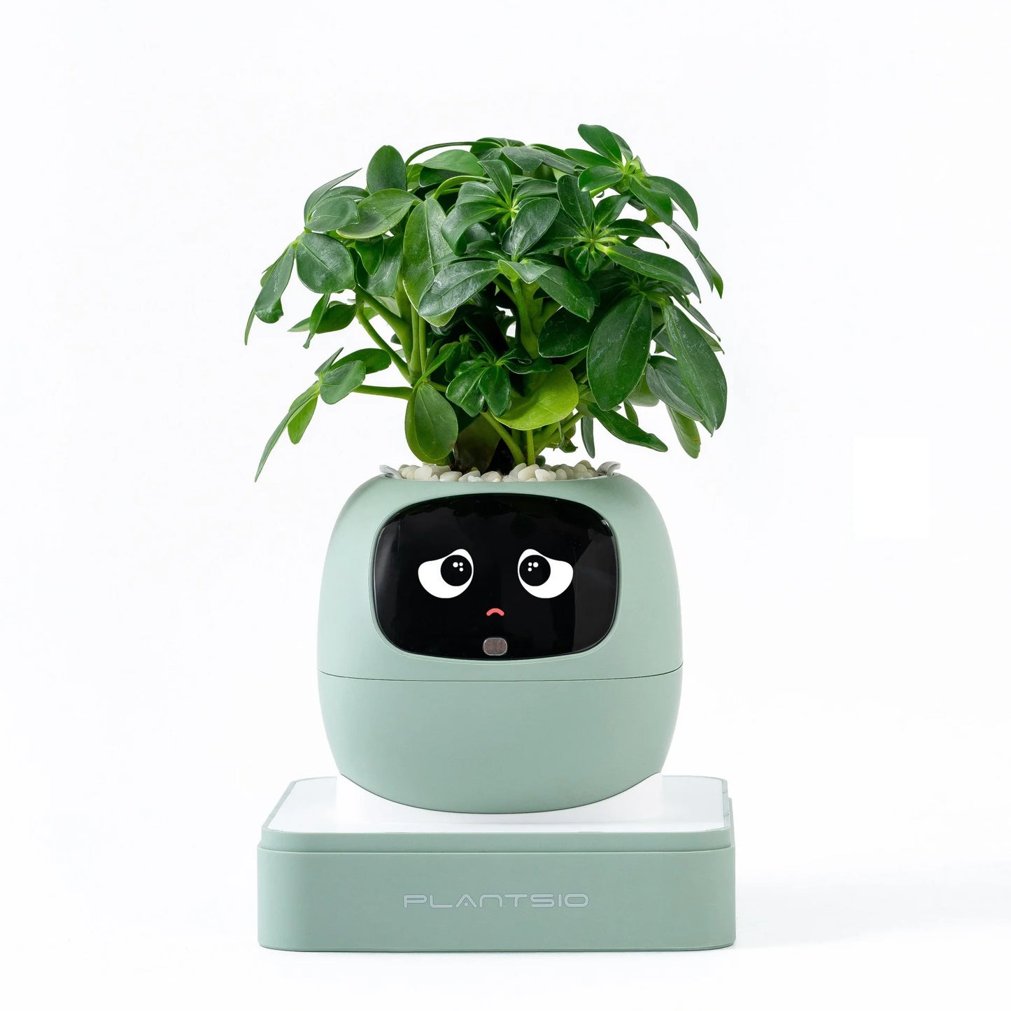 Smart AI Expression Planter