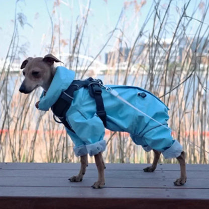 Windproof Dog Raincoat