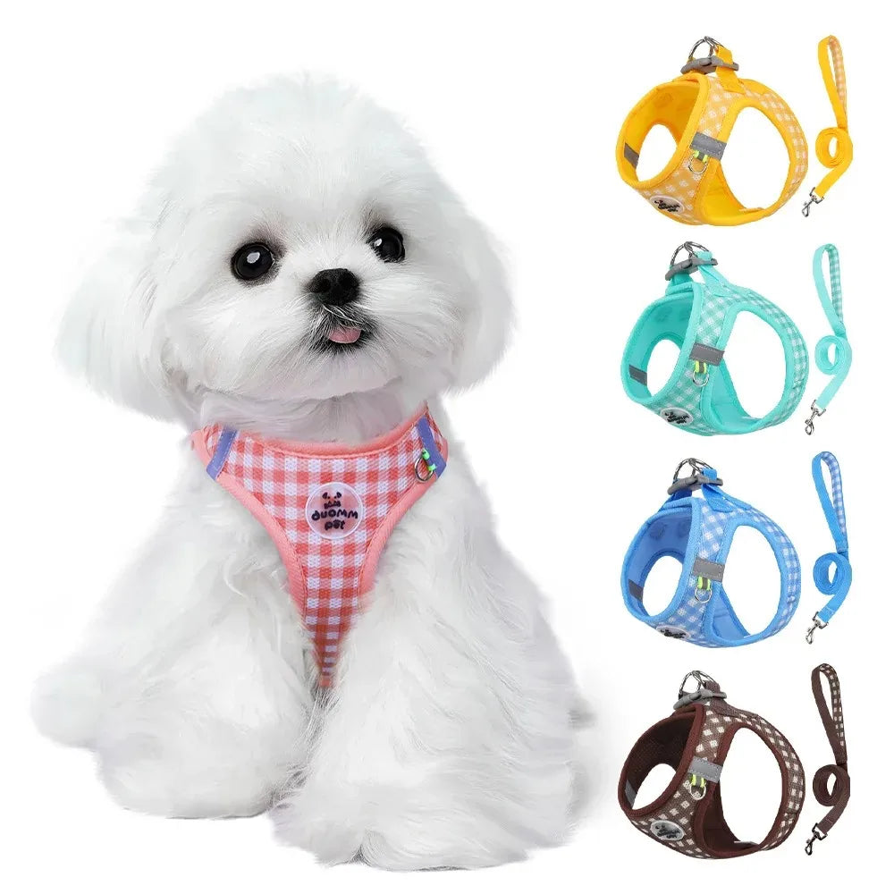 Small Dog Harness Vest with Leash