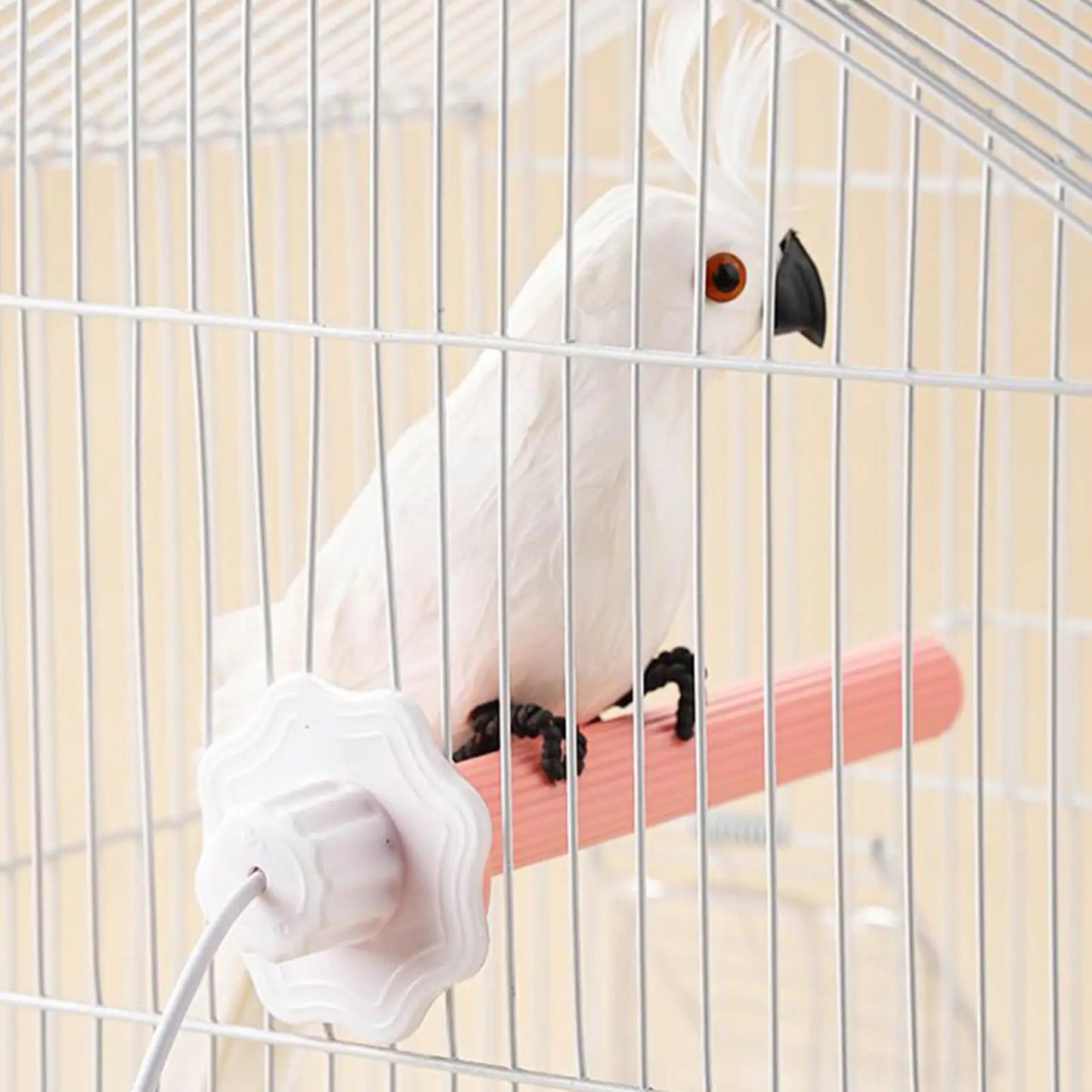 USB Heated Bird Perch Warmer for Parrots & Small Birds