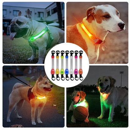 LED Safety Glowing Pet Light Strip