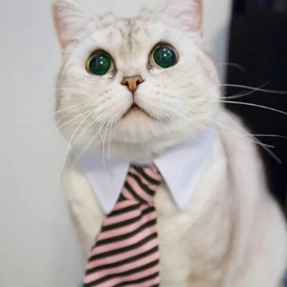 Adjustable Pet Necktie Collar
