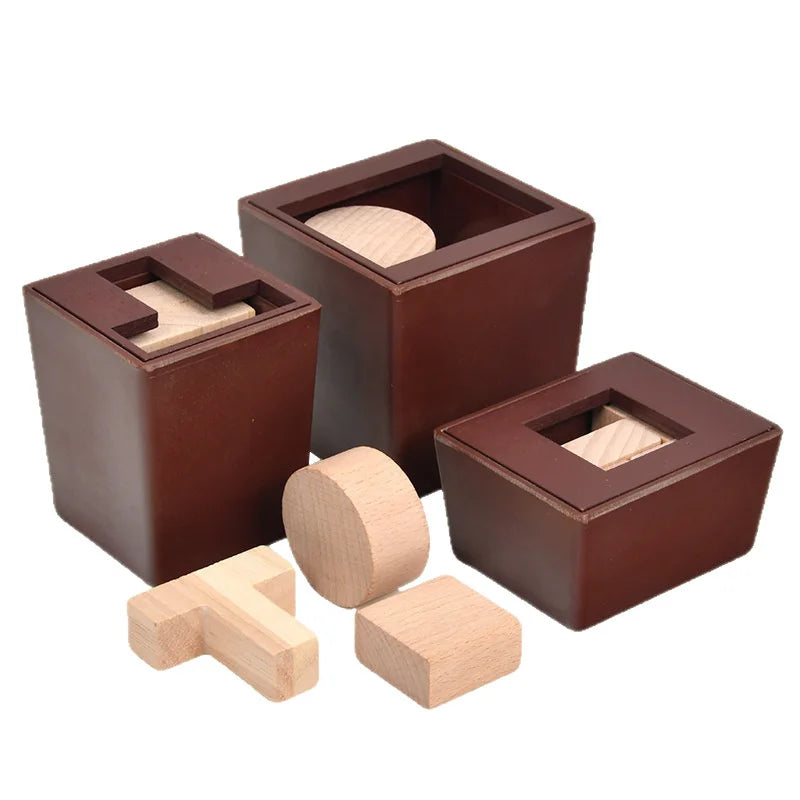 T-Shaped Wooden IQ Puzzle Game