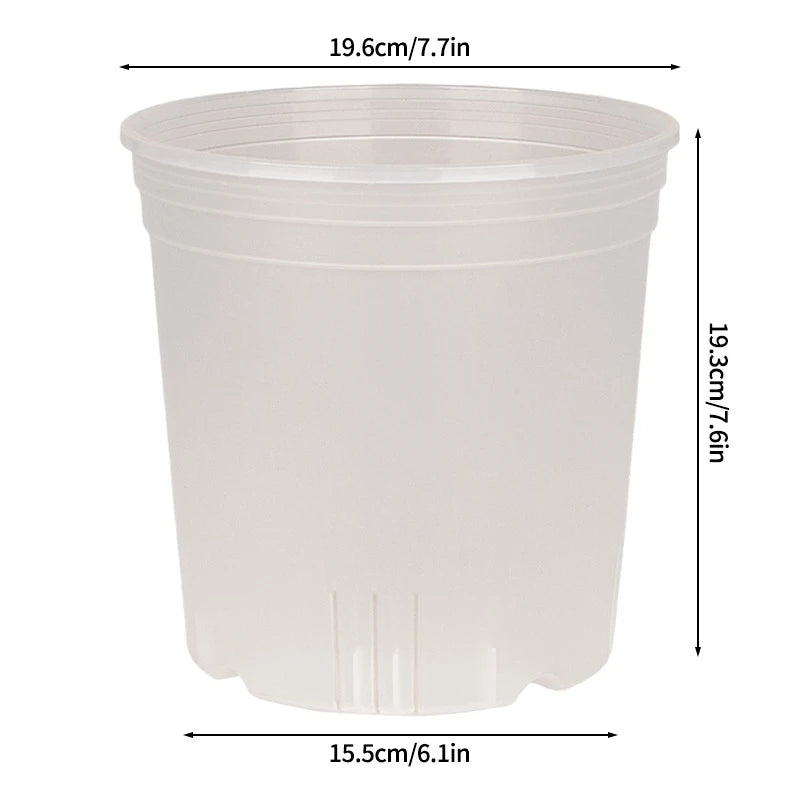 Transparent Nursery Plant Pot