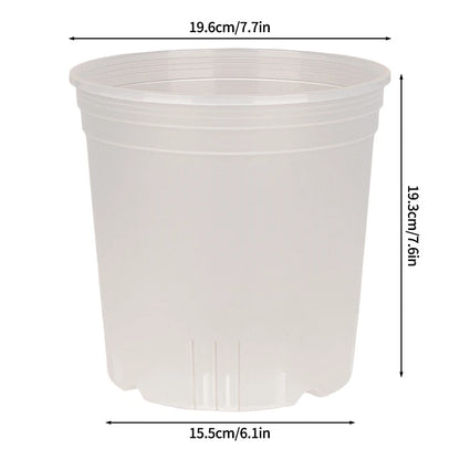 Transparent Nursery Plant Pot
