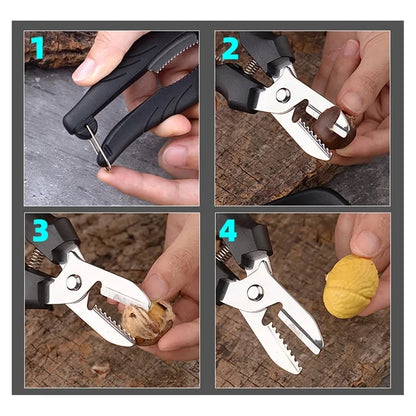 Stainless Steel Chestnut Cutter