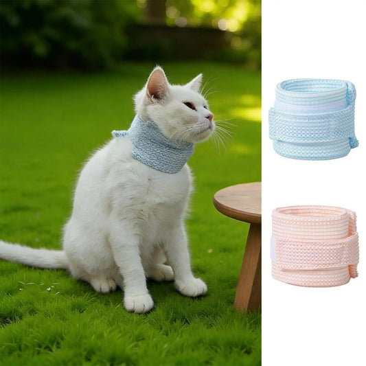 Cat Neck Recovery Brace Collar