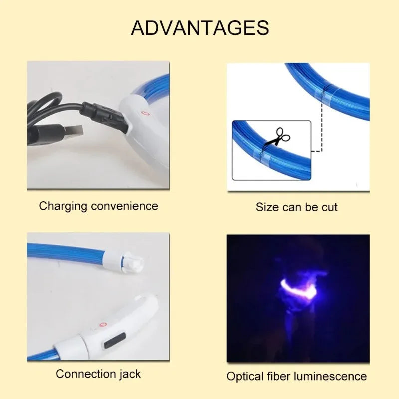 LED Light Up Dog Collar with USB Charging