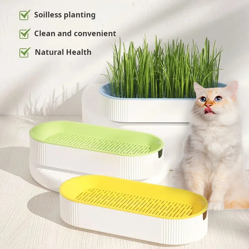 Hydroponic Cat Grass Growing Kit