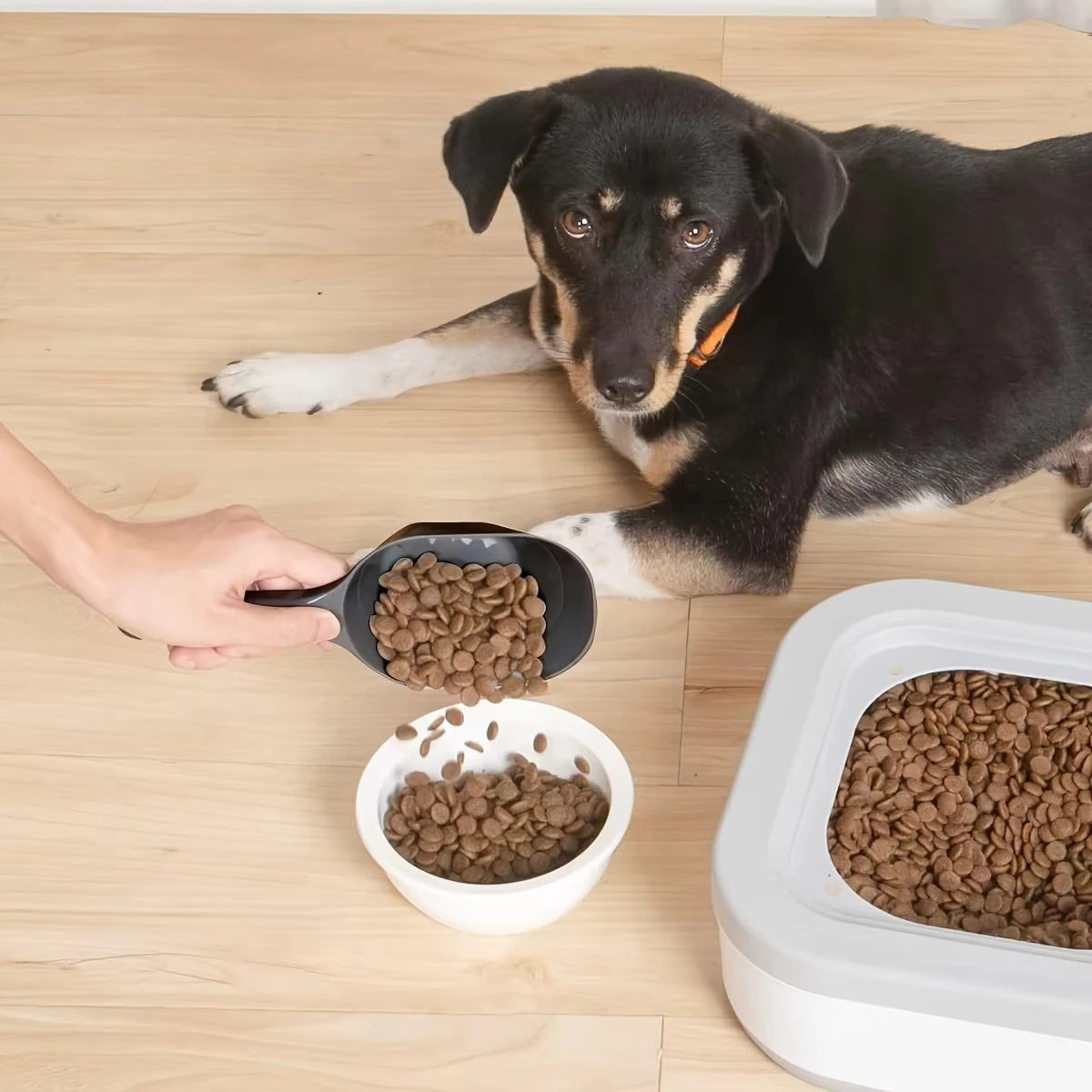 Large Capacity Pet Food Scoop