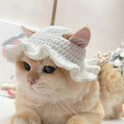 Autumn & Winter Knitted Cat Hat