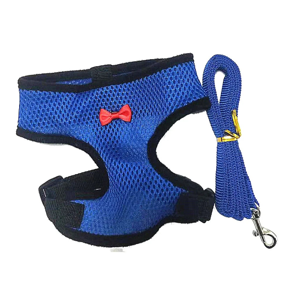 Adjustable Poultry Harness & Leash Set