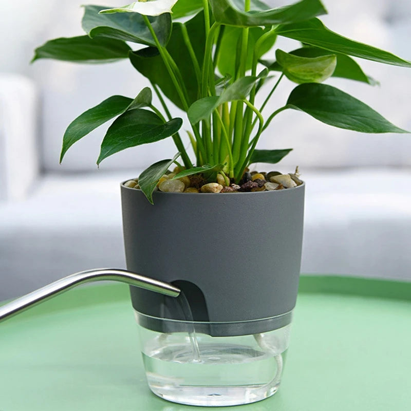 Self-Watering Hydroponic Plant Pot