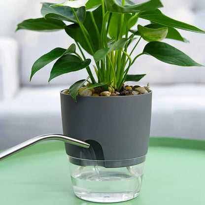 Self-Watering Hydroponic Plant Pot