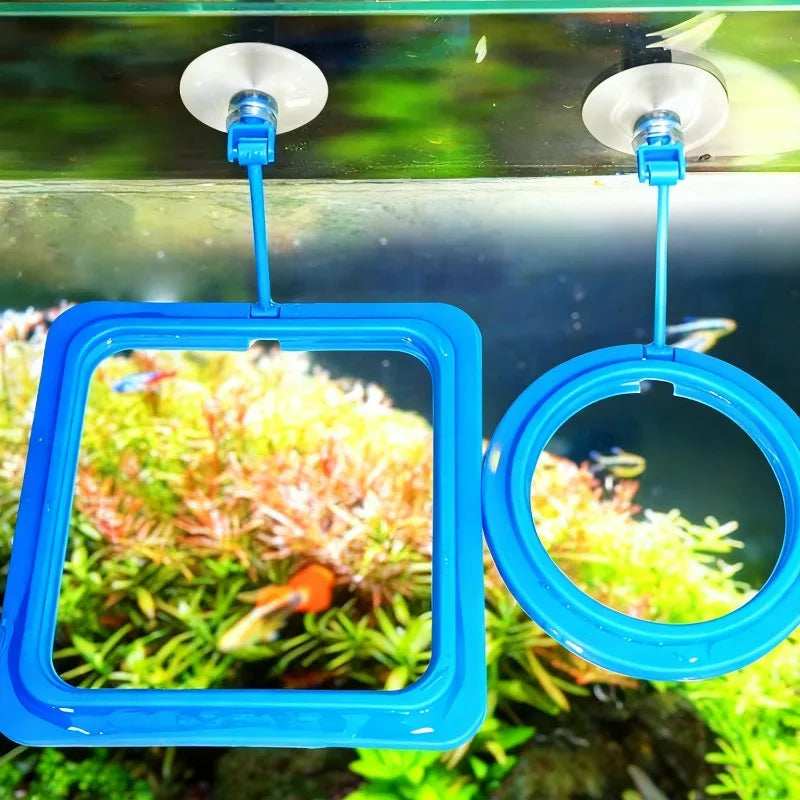Aquarium Feeding Ring Fish Tank Feeder
