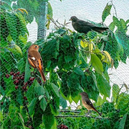 Garden Anti-Bird Netting Mesh for Fruit Trees, Vegetables, Crops & Ponds