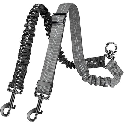 Dual Dog Leash Attachment with Bungee Strap