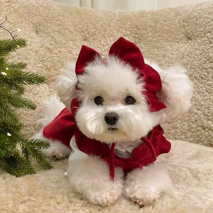 Winter Bow Knot Dog Dress