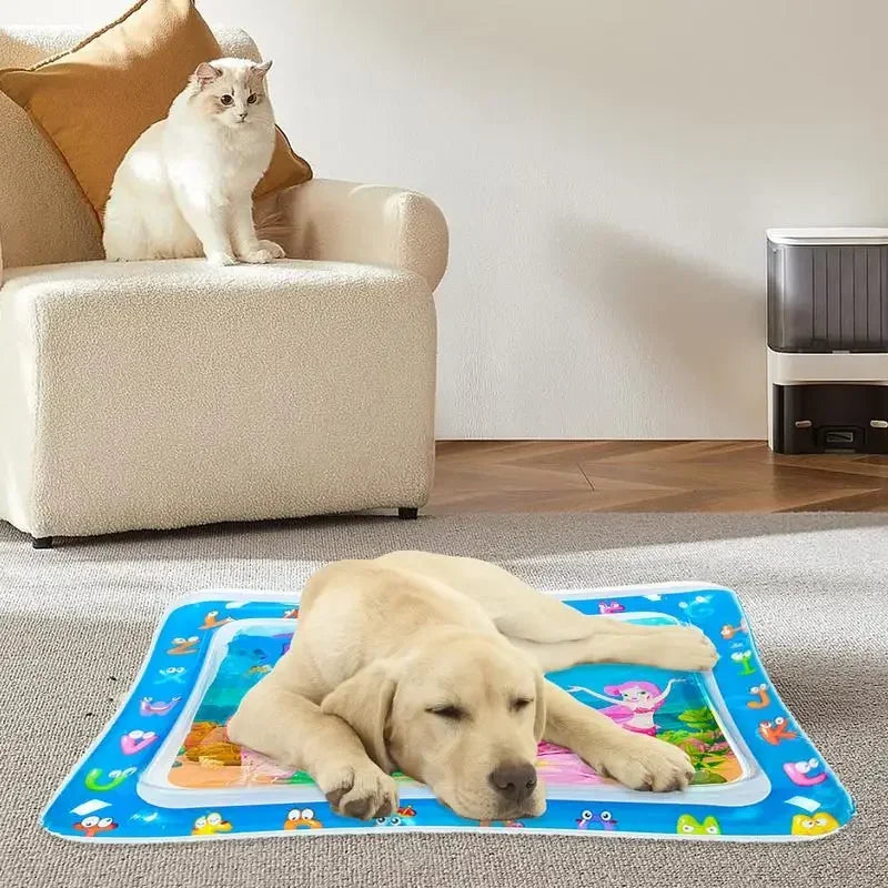 Pet Water Sensory Play Mat