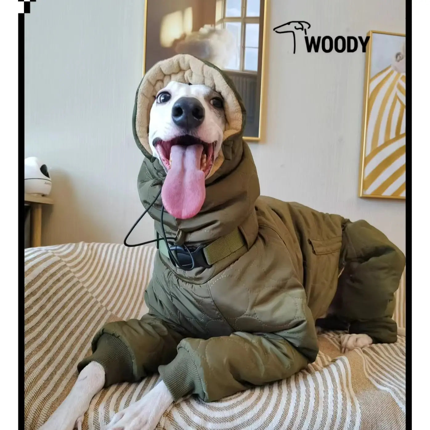 Super Thick Fleece Winter Dog Jacket