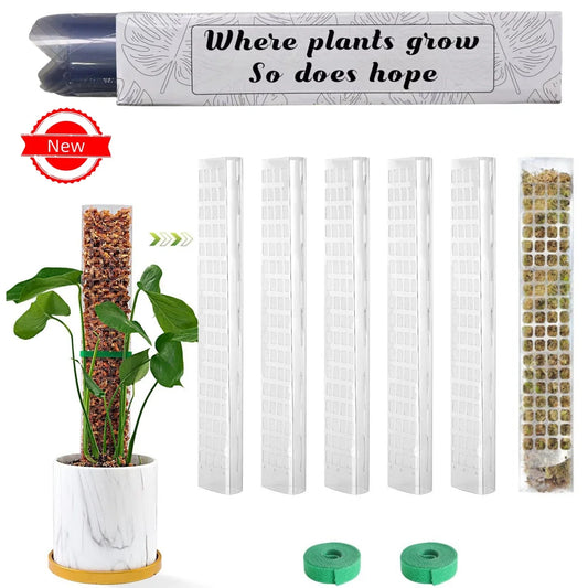 Transparent Plant Moss Pole Support