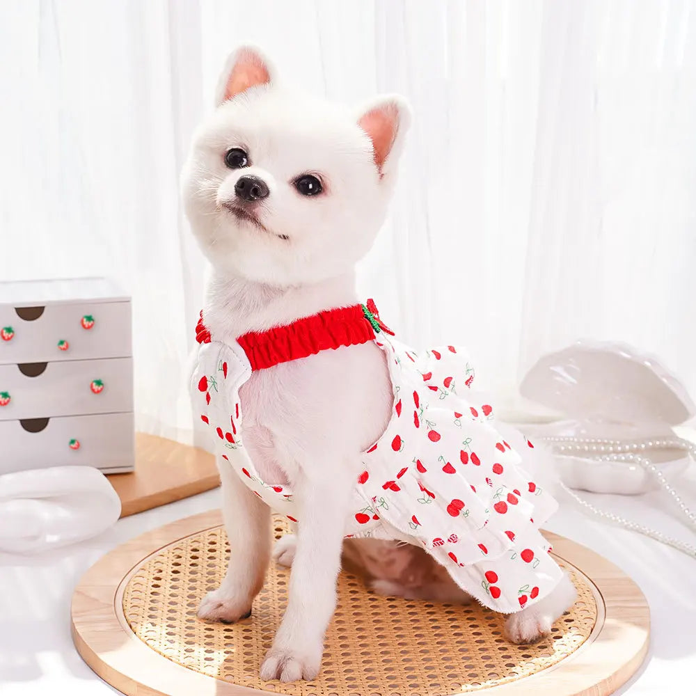 Cherry Print Princess Dress for Dogs & Cats